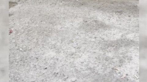 Kütahya’da maden işçilerinin yemekhanesine sık sık uğruyor, adeta maskot oldu