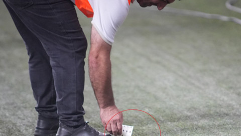 Samsunspor-Panathinaikos maçında sahada beklenmeyen misafirler, objektiflere takıldılar