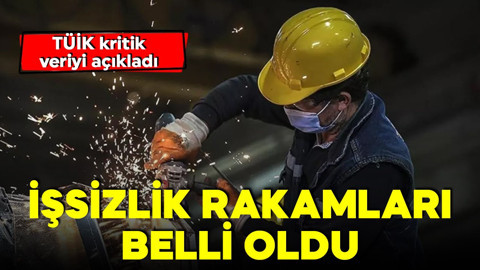 TÜİK açıkladı! İşsizlik oranları belli oldu