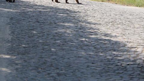 Bir anda cama dayandı, araç içindekiler şaşkına döndü