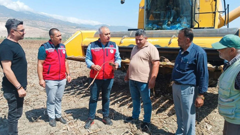 Hatay’da ayçiçeği hasadı başladı, İl Tarım Müdürü üreticilerin taleplerini dinledi