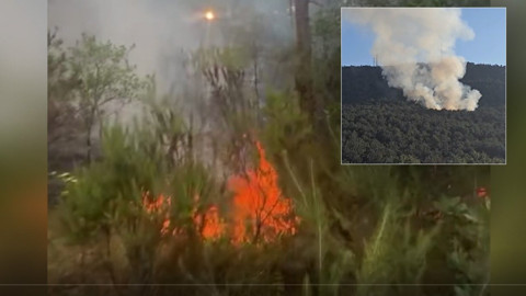 Ataşehir'de orman yangını! Çok sayıda ekip sevk edildi