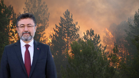 3 ildeki orman yangınlarında son durum ne? Bakan Yumaklı açıkladı