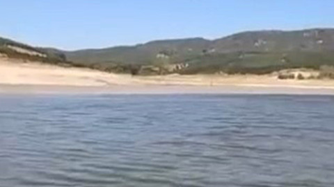 Bursa’da sulama göleti kurudu, binlerce canlı aynı anda kıyıya vurdu