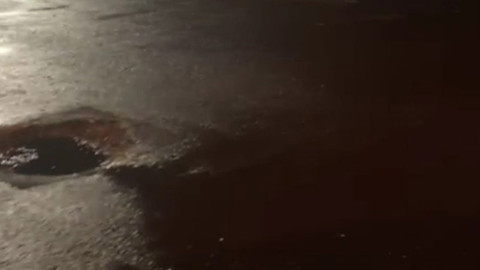 Kars’ta şehrin ortasında dolaşan 2 hayvan görenleri hayrete düşürdü, boyunlarındaki ip detayı merak uyandırdı