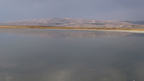 Bitlis göl kıyısında renkli manzara, Süphan Dağı eşliğinde görüntüler büyüledi
