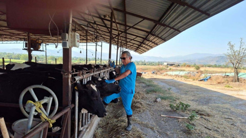 Aydın’da şap hastalığı nedeniyle 27 mahalle karantinaya alındı