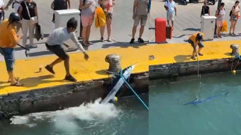 Nesli tükenme tehlikesi altında! Zıpkınla vurdu, büyük tepki aldı! O anlar kamerada