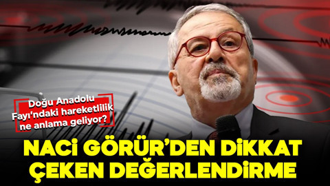 Doğu Anadolu Fay Hattı’ndaki hareketlilik ne anlama geliyor? Naci Görür’den dikkat çeken açıklama