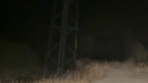 Bayburt'ta bir aracın yolunu kestiler, arka ayakları üzerinde yükselerek gözdağı verdiler