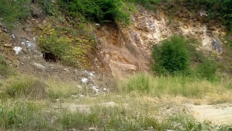 Bursa'da fotokapana yakalanan yaban hayatı ailesi görenlerin içini ısıttı