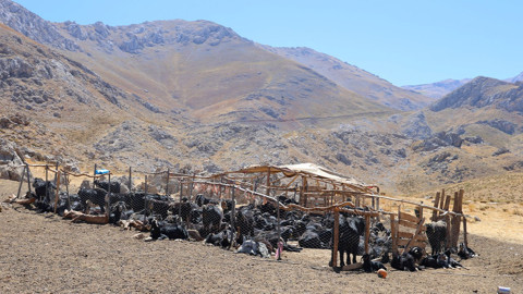 Kahramanmaraş’ta yayla sezonu bitiyor, tüm aileler köylerine dönmeye hazırlanıyor