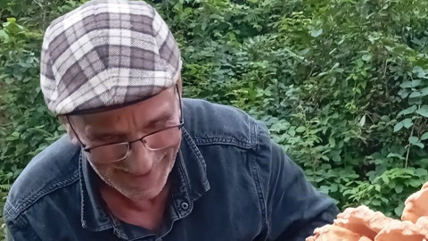 Rize'de eylül yağmurlarıyla beslendi ağacın gövdesinde kilolarca yetişti! O doğa mucizesi 3 arkadaşın karşına çıktı