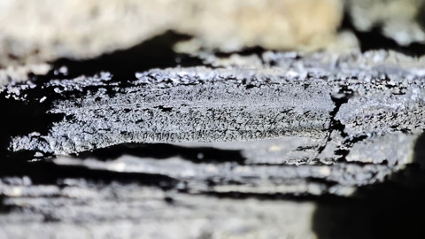 Tüm dünyada kırmızı listede aranıyor! O Türkiye'de Tatvan'dan fırladı. 1 değil 2 tane birden görüldü