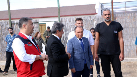 Afyon'da rehabilitasyon merkezinde tedavisi tamamlanan toplam 27 hayvan tekrar doğaya salındı