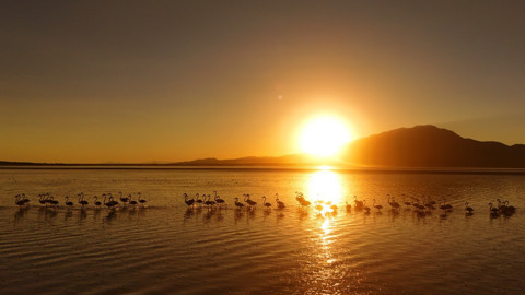 Bitlis’te gün batımında büyüleyen manzara! Hafızalara kazınacak eşsiz görüntülerin keyfini çıkardılar