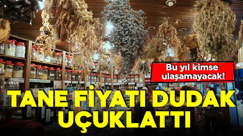 Tane fiyatı dudak uçuklattı: Bu yıl kimse ulaşamayacak!