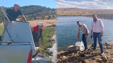 Elazığ'da balıklar suyla buluştu! Hepsi aynı anda etrafa dağıldı