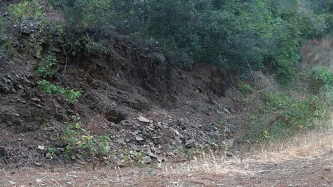 Tekirdağ’da vahşi hayvan avının peşine düştü! Nefes kesen kovalamaca fotokapana yansıdı