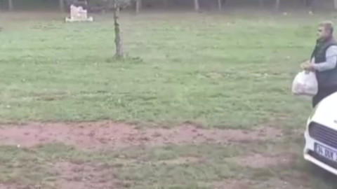 Erzincan’da yürekleri ağızlara getiren yakınlık! Koca hayvanı elleriyle besledi