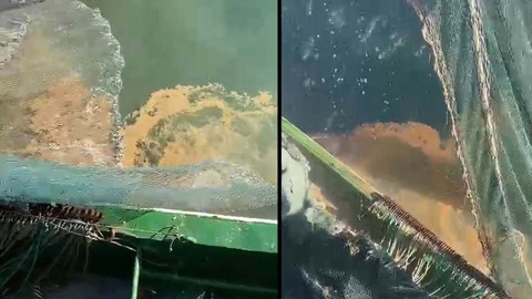 Marmara Denizi'nde korkutan gelişme: Kabus geri döndü