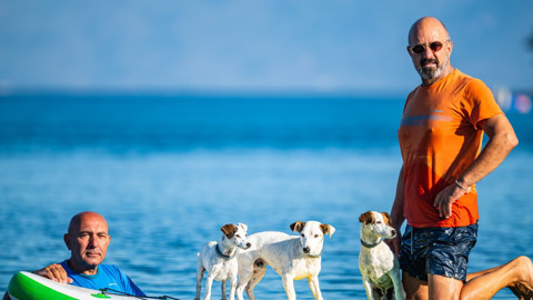 Balıkesir'de paddle board üzerindeki hayvanlar herkesin ilgisini çekti! Görenler bir daha baktı