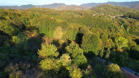 Zonguldak ormanları sonbaharın renk cümbüşüyle kartpostallık manzaralar sunuyor