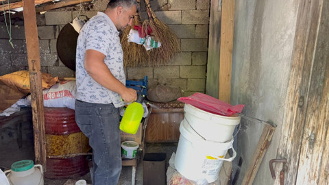 Osmaniye'de bir evin içinde ortaya çıktılar. O hayvanlar yaşlı kadın çaresiz bıraktılar! Ekipler kadının yardımına koştu
