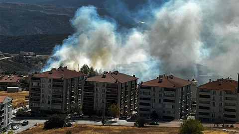 Onlarca dönüm makilik alanı kül ettiler! Pes dedirten ihmal