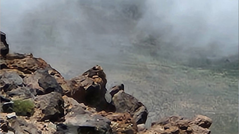 Ağrı'da bu sefer yol kenarında değil 4 bin rakımlık noktada sürü halinde görüldüler