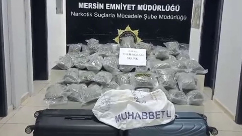 Yolcu minibüsünde 35 kilogram skunk ele geçirildi!