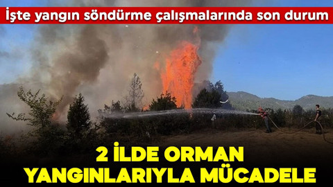 İki ilde orman yangınlarıyla mücadele! İşte yangın söndürme çalışmalarında son durum