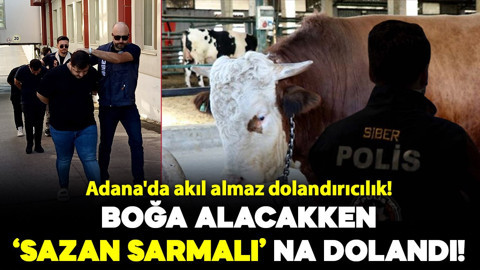 Adana'da akıl almaz dolandırıcılık! Boğa alacakken Sazan Sarmalı kurbanı oldular