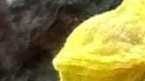 Yaşadığına dair kanıt yoktu. Elazığ’da bir anda ortaya çıktı... Kamufle olarak avlanan hayvan görenleri şaşırttı