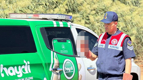 Kilis’te nadir görülen tür yol kenarında bitkin halde bulundu! Hemen koruma altına alındı