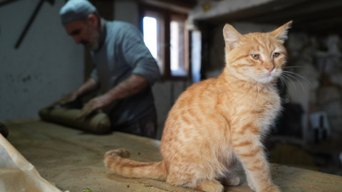 Bayburt'un son tandır ustası mesleğini yaşatıyor! 3 kuşaktır devam ediyor