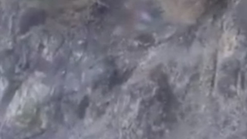 Aracı görünce paniklediler. 2'si birlikte korkuyla dağa tırmandılar