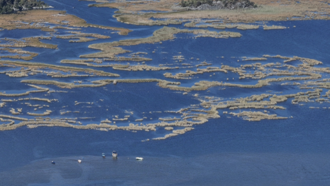 Muğla’nın Dalyan Kanalı ekimde turist akınına uğradı! Labirenti andıran güzellik büyüledi