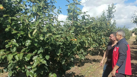 Çanakkale’de dolu yağışı tarım arazilerini vurdu! ekipler sahada hasar tespiti yaptı