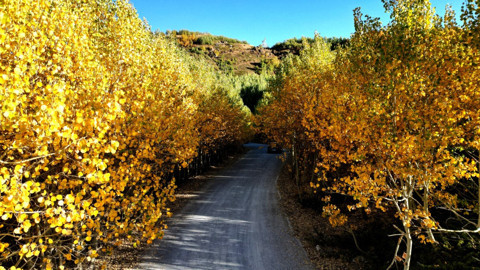 Bitlis’te sonbahar büyüledi! Nemrut Dağı renk cümbüşüne sahne oldu
