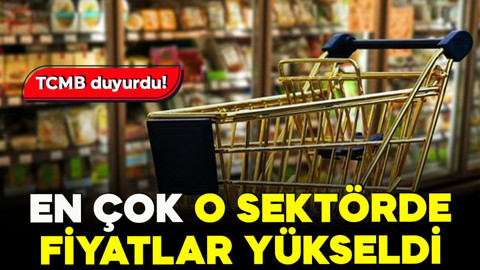 TCMB duyurdu! En çok o sektörde fiyatlar yükseldi