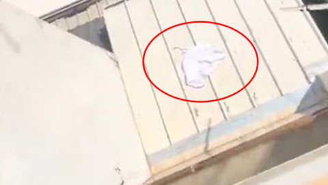 Çarşafı 1 kat aşağıya düşmüştü! Vatandaşın yaptığı hareket gündem oldu