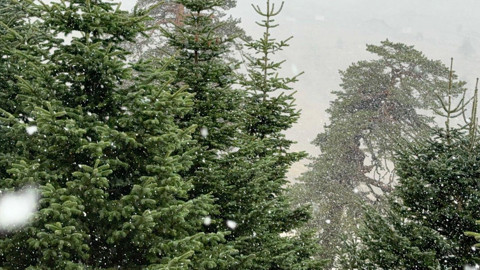 Bolu'nun yüksek kesimlerine kar yağdı