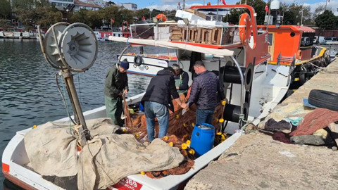 Tekirdağ’da limanda hareketli anlar! Ağlardan çıkan lüferler balıkçıları sevince boğdu