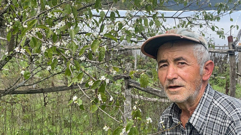 Mevsimler şaştı, doğa karıştı! Bartın’da ağaçlar ikinci kez çiçek açtı