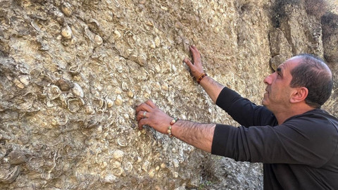 Dağların kalbinde deniz izleri! Erzurum’da 200 milyon yıllık fosil heyecanlandırdı