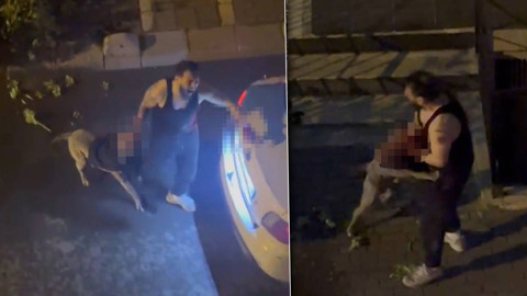 Pitbull cinsi köpek, sahibine saldırdı! Yardım çığlıkları mahalleyi inletti: O dehşet anları kamerada