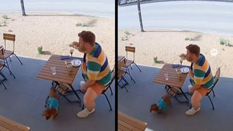 Köpek önceden hissedip havlamaya başladı, saniyeler sonra feci olay oldu