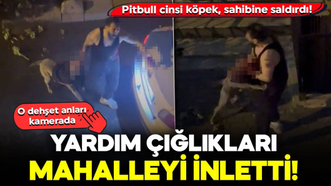Pitbull cinsi köpek, sahibine saldırdı! Yardım çığlıkları mahalleyi inletti: O dehşet anları kamerada