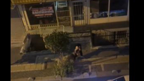 İstanbul'da pitbull dehşeti! Bu sefer bakın kime saldırdı